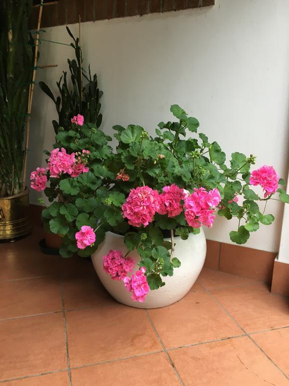 Da Ninoti Bauernhof